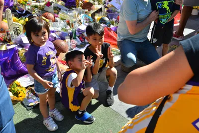 DSC_7174 (Large).JPG